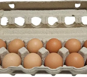 Egg carton