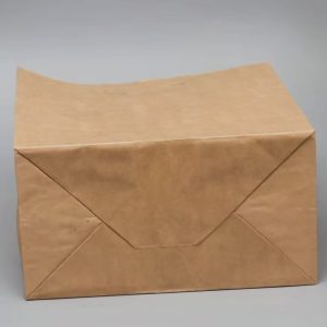 Alternative view of Paper Bag